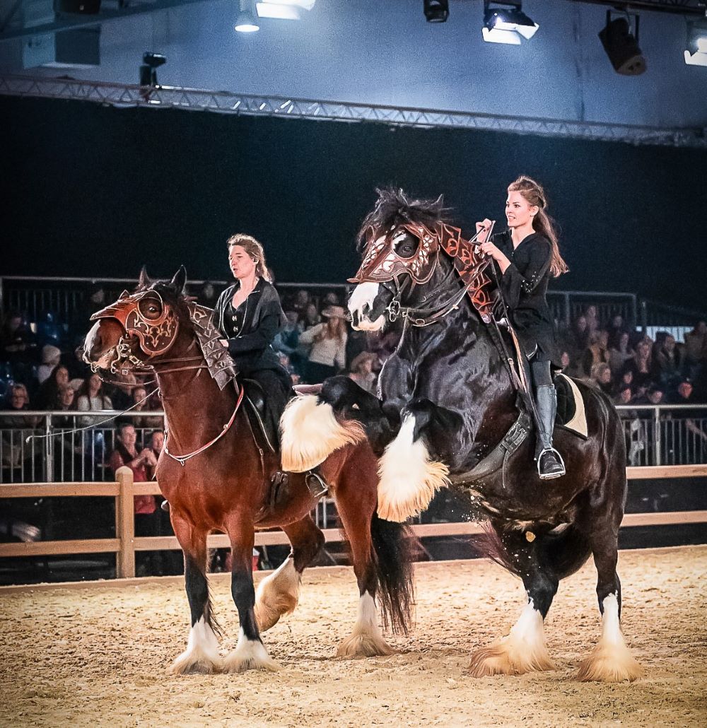 Judy Messe Hund & Pferd 2024